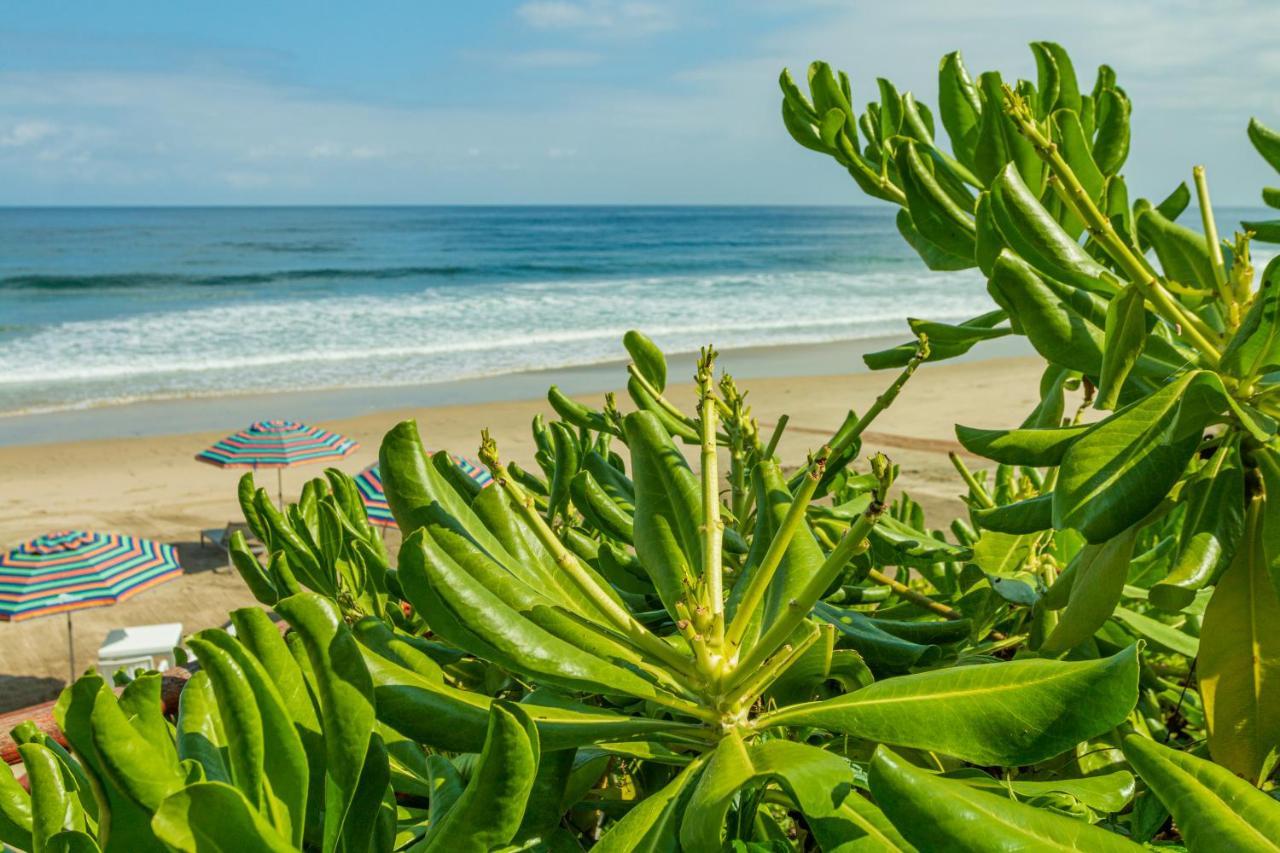 Marsai Hotel Boutique (Adults Only) Punta Mita Kültér fotó
